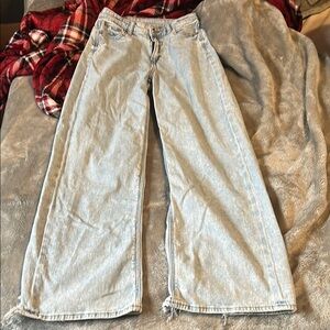 American Eagle Outfitters Light Blue Straight Leg Jeans